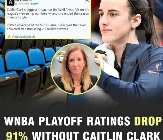 Recently, a strong wave of public opinion has arisen around the survival of the WNBA after Caitlin Clark, a rising young star, was harshly criticized by fans